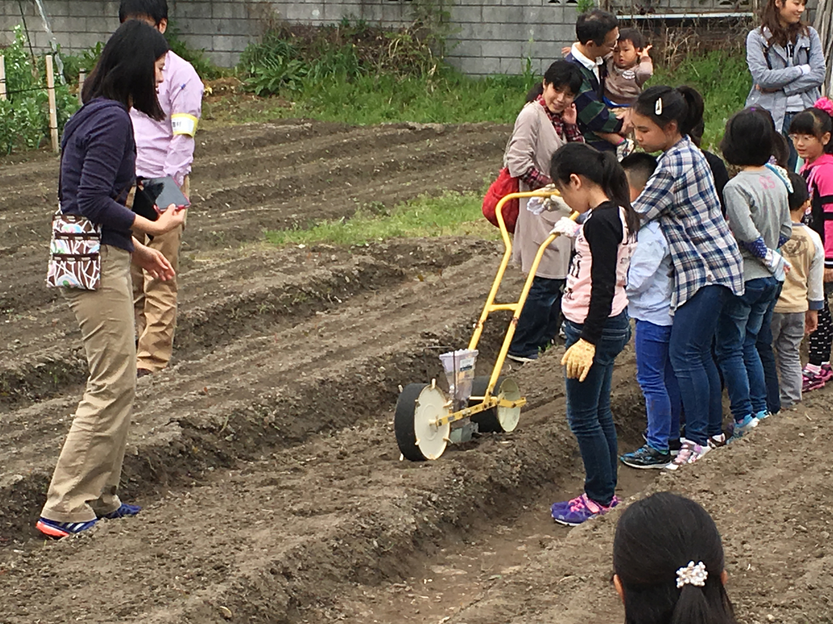 小松菜の種は子どもたちが農具を使って体験